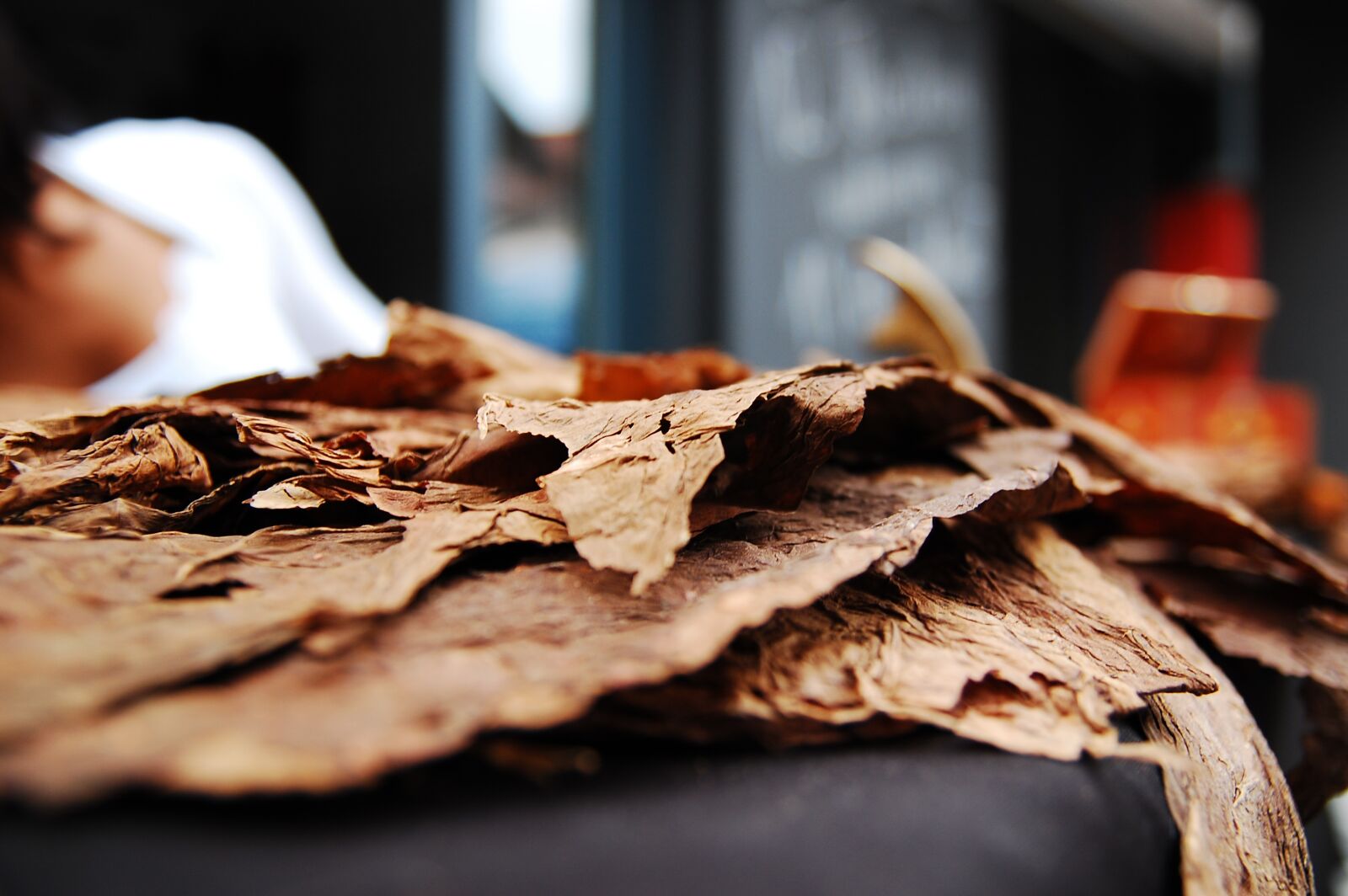 Nikon D40 sample photo. Tobacco, cigar, benefit from photography