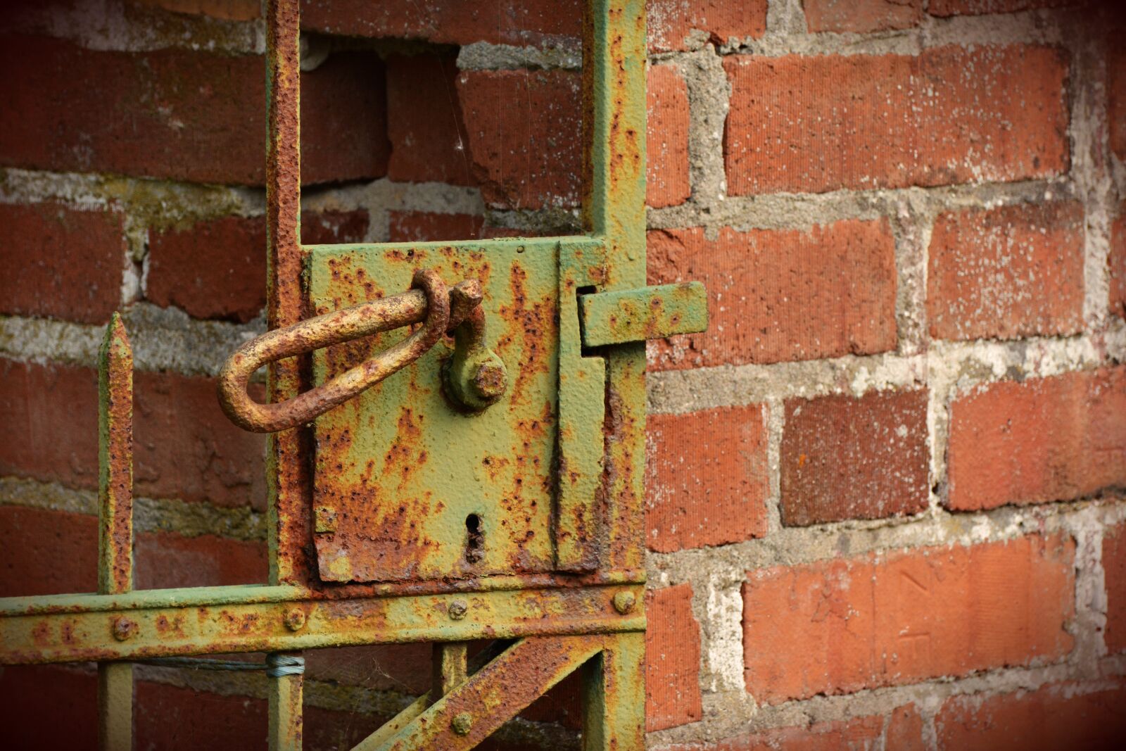 Nikon D5200 sample photo. Old gate, castle, rusty photography