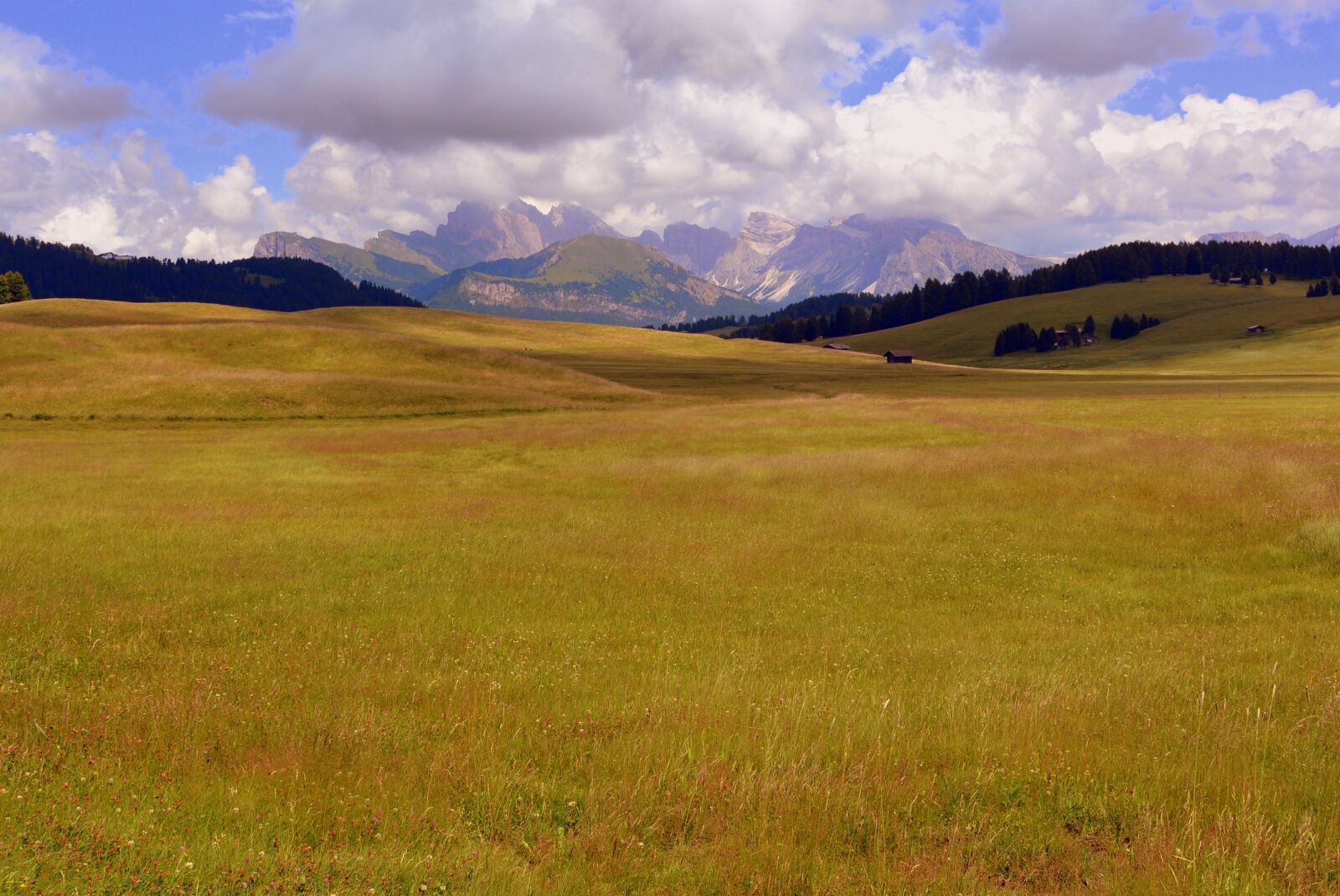 Nikon D7100 sample photo. Prato, prairie, dolomites photography