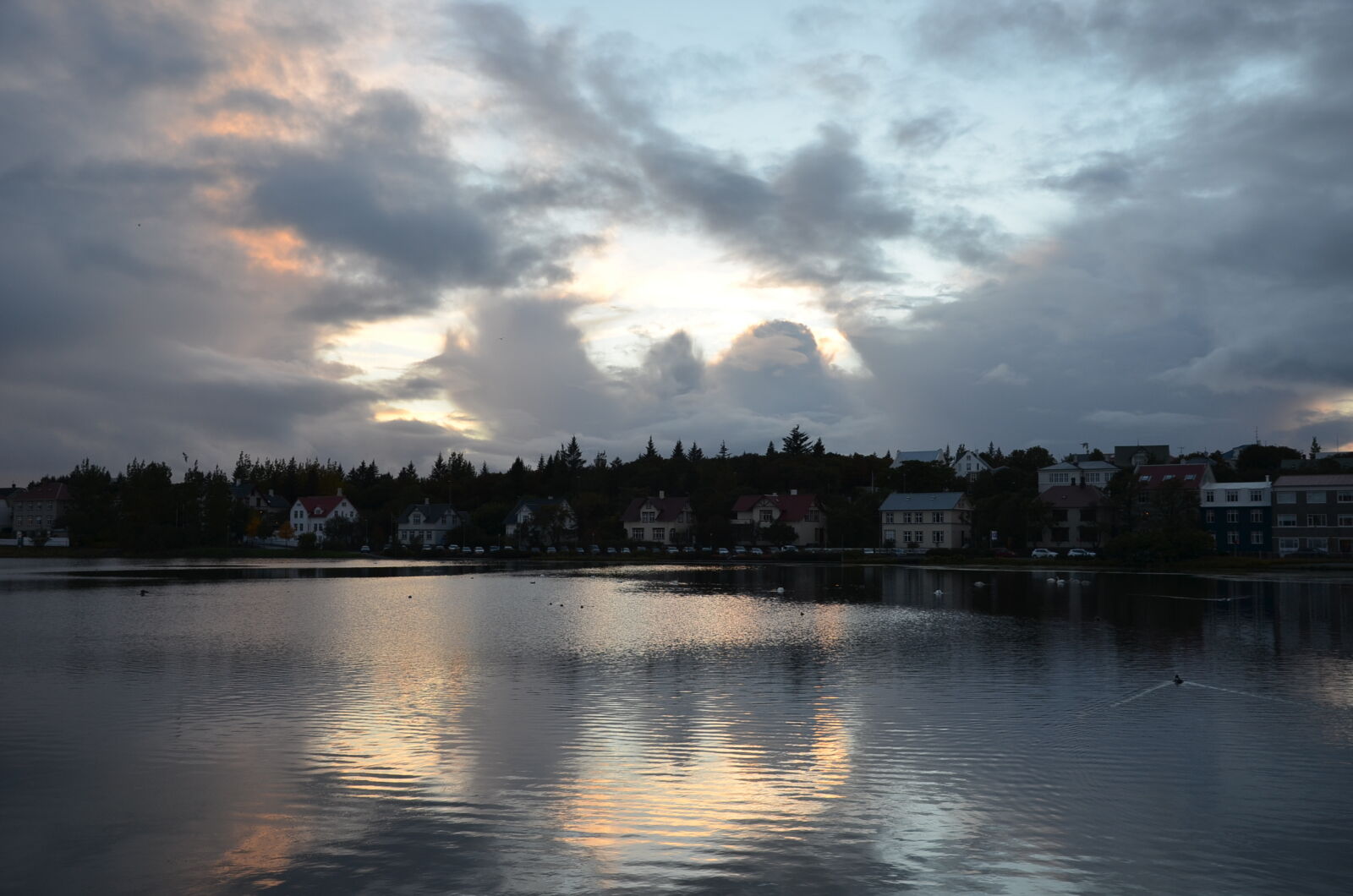 Nikon D5100 sample photo