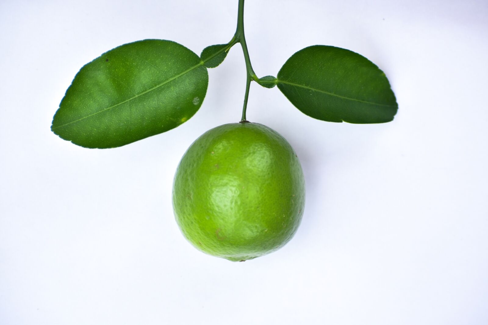 Nikon D3500 sample photo. Tropical, citrus, food photography