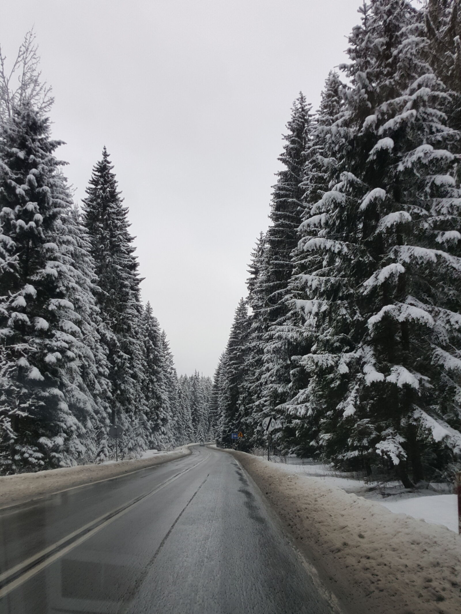 Samsung GALAXY S6 edge sample photo. Snowed, trees photography