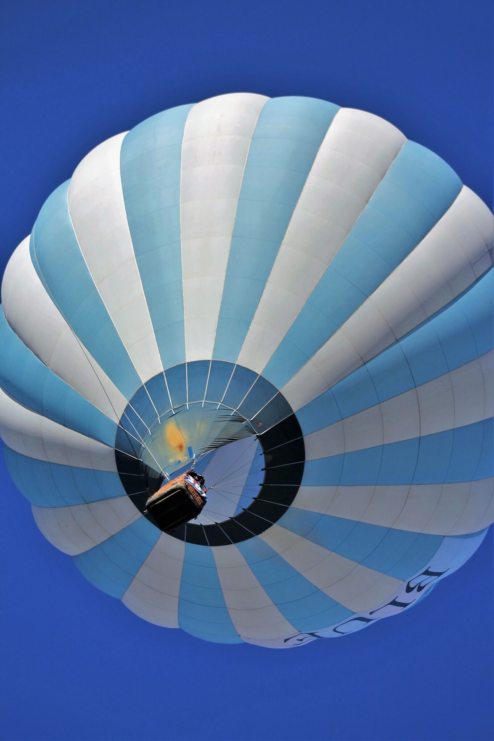 Canon EF 75-300mm f/4-5.6 sample photo. Hot air balloon, albuquerque photography