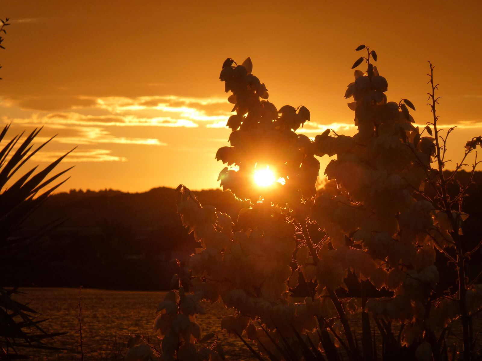 Leica V-Lux 30 / Panasonic Lumix DMC-TZ22 sample photo. France, sunset, evening sky photography