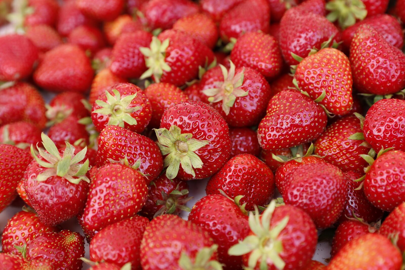 Canon EOS 6D sample photo. Strawberry, berry, tasty photography