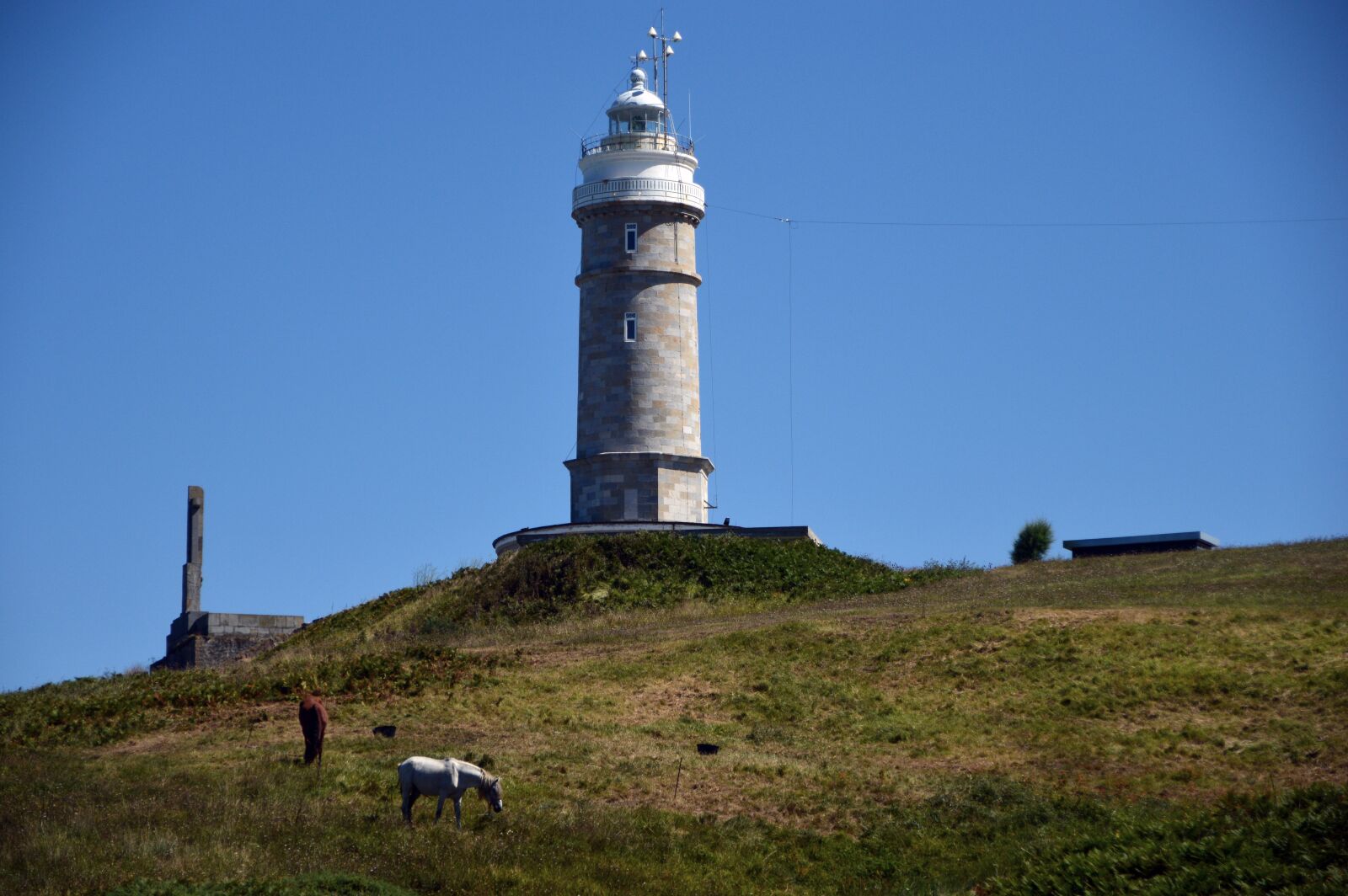 Nikon D3200 sample photo. Landscape, lighthouse, horses photography