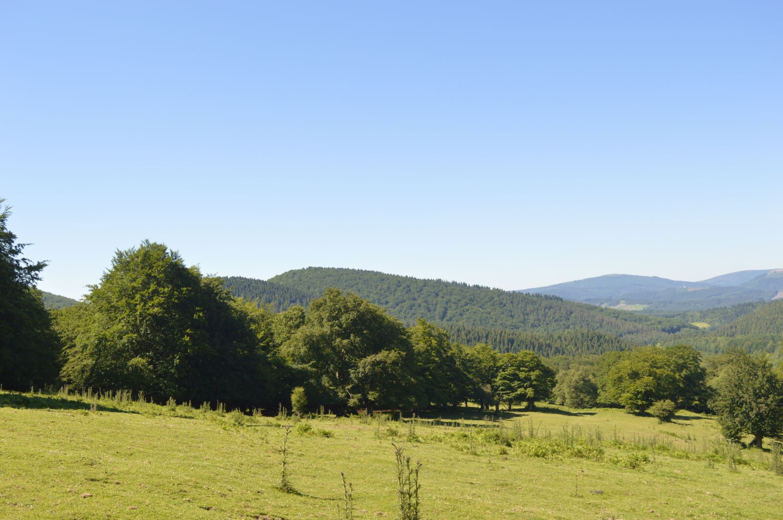 Nikon D3200 sample photo. Mountain, meadow, spring photography