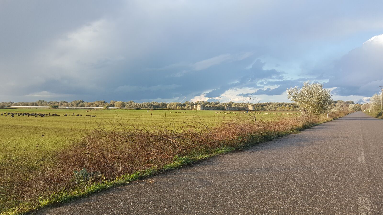 Samsung Galaxy Note5 sample photo. Landscape, road, green photography