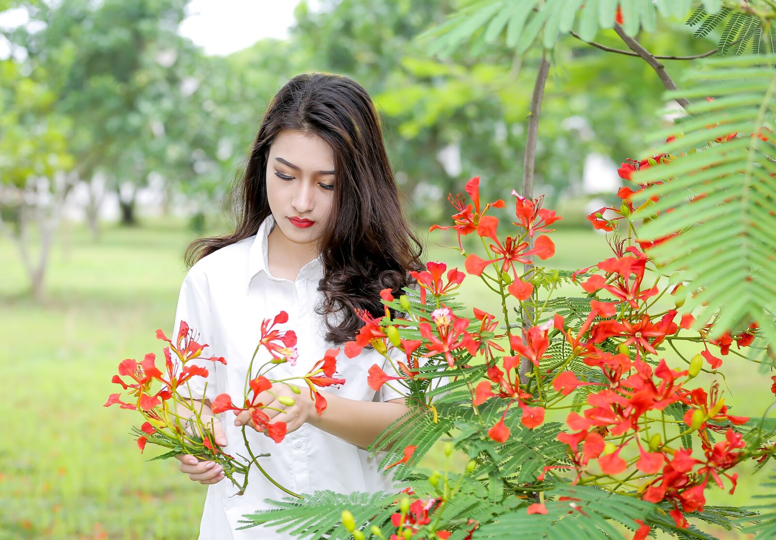 Canon EF 70-200mm F2.8L IS II USM sample photo. Girl, flower, phoenix flower photography