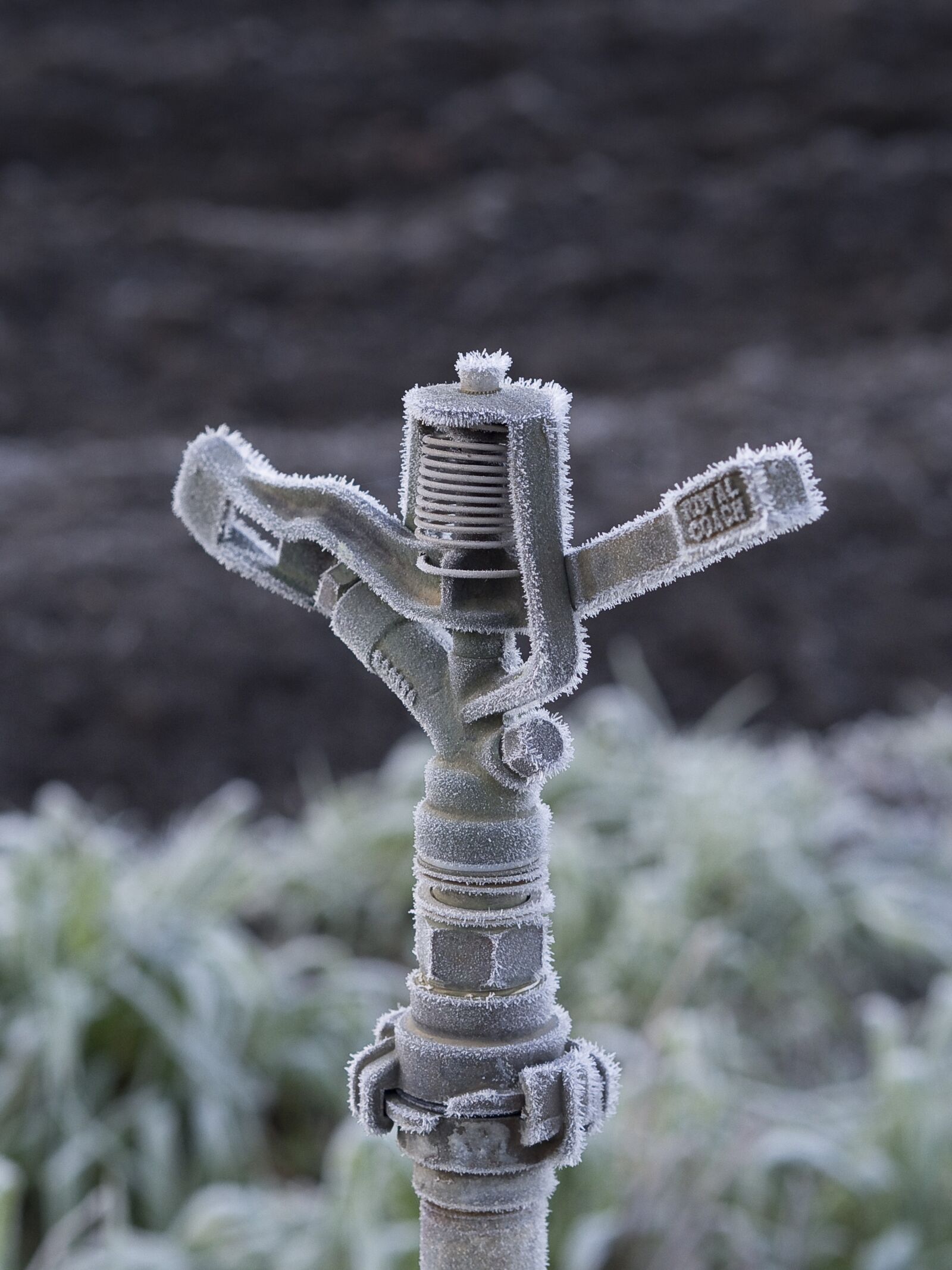 Olympus OM-D E-M10 II sample photo. Agriculture, cold, winter photography