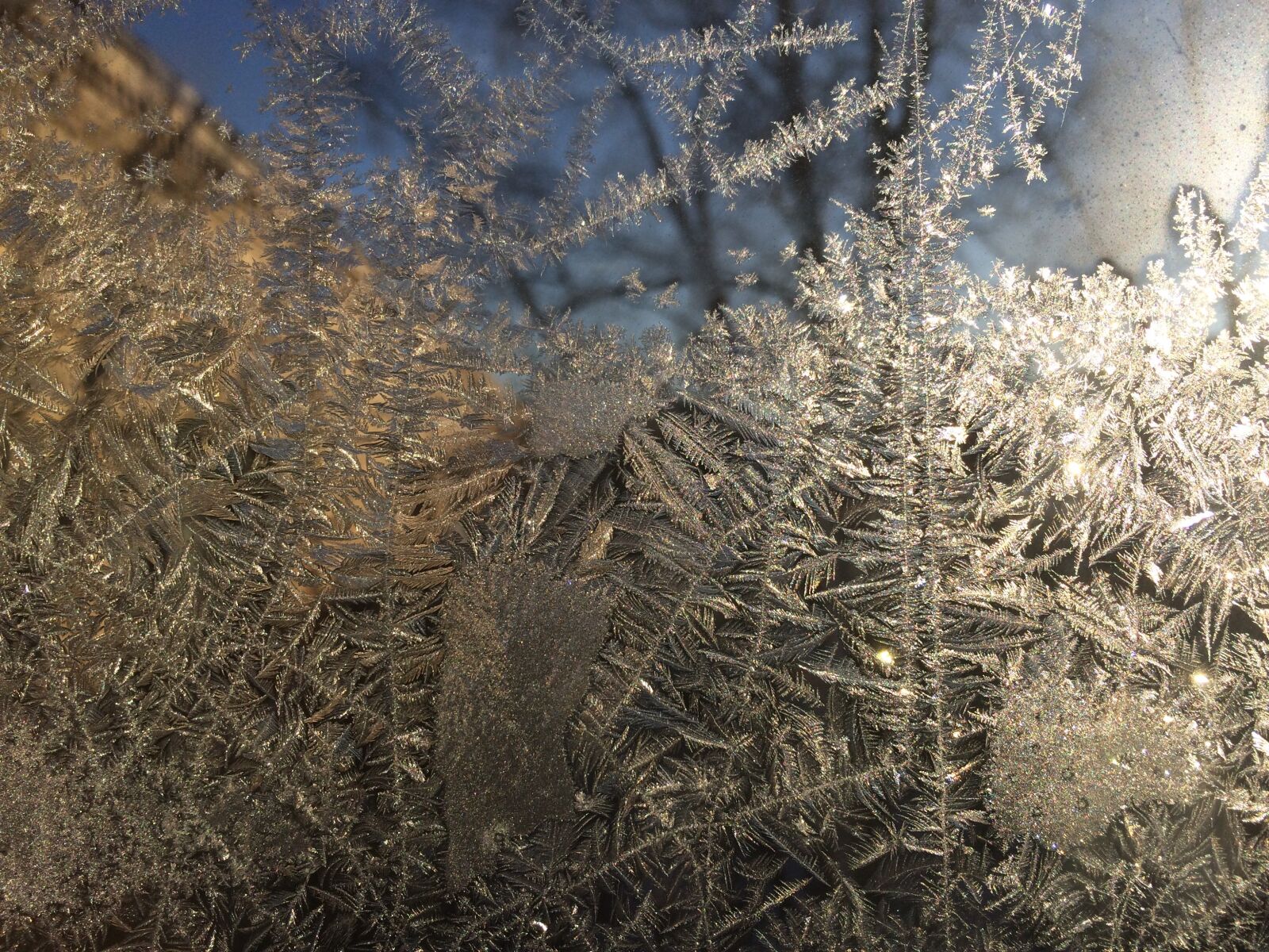 iPhone 5s back camera 4.12mm f/2.2 sample photo. Winter, frost, window photography