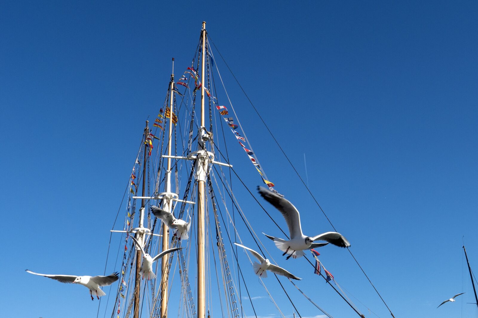 LEICA DG 12-60/F2.8-4.0 sample photo. Sky, sea, ship photography
