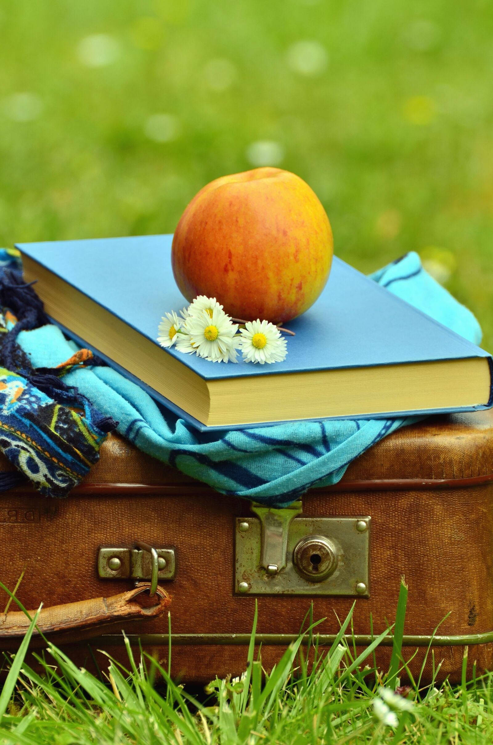 Nikon D5100 sample photo. Suitcase, flower, book, apple photography