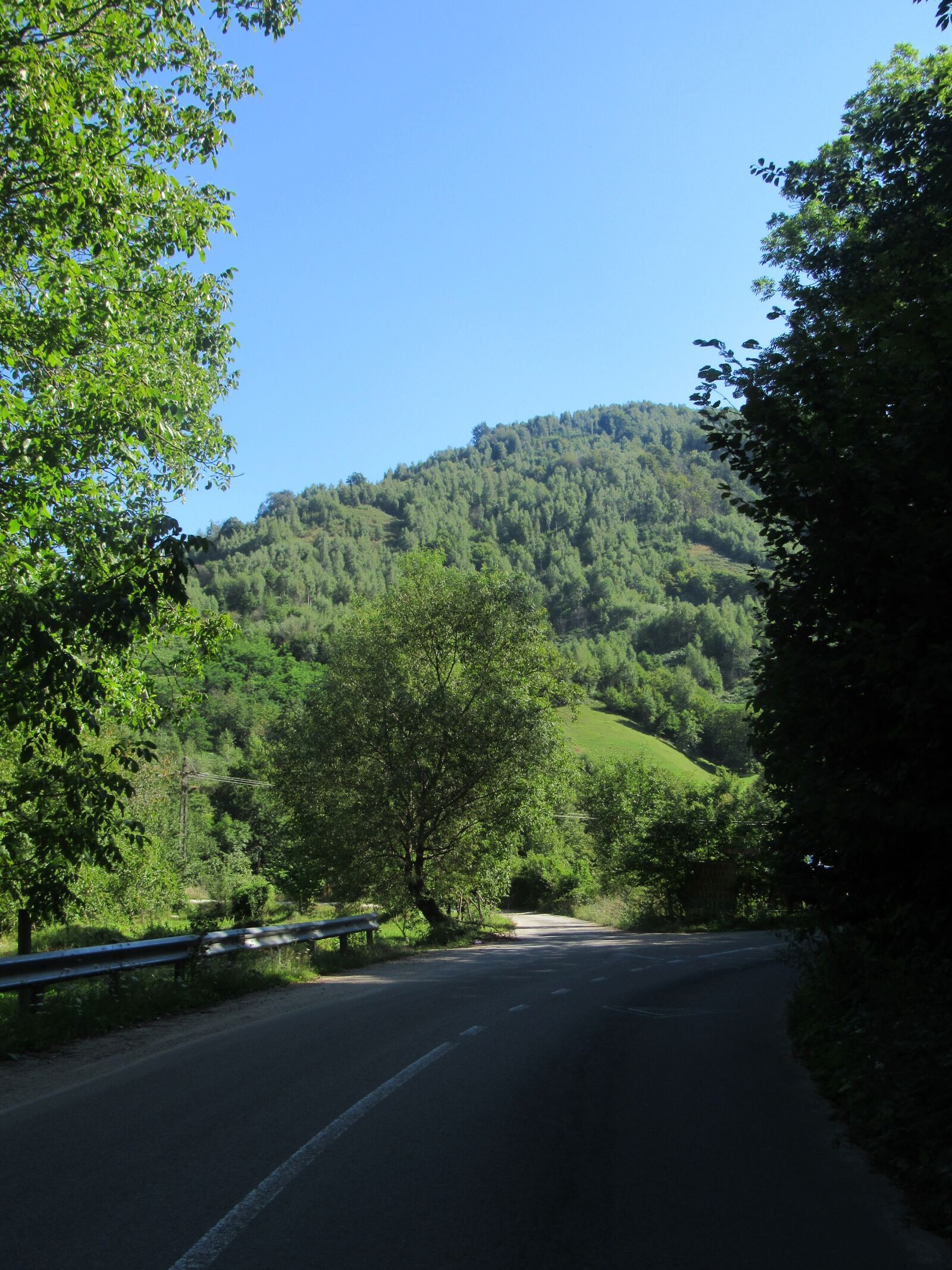 Canon PowerShot SX530 HS sample photo. Road, the apuseni mountains photography