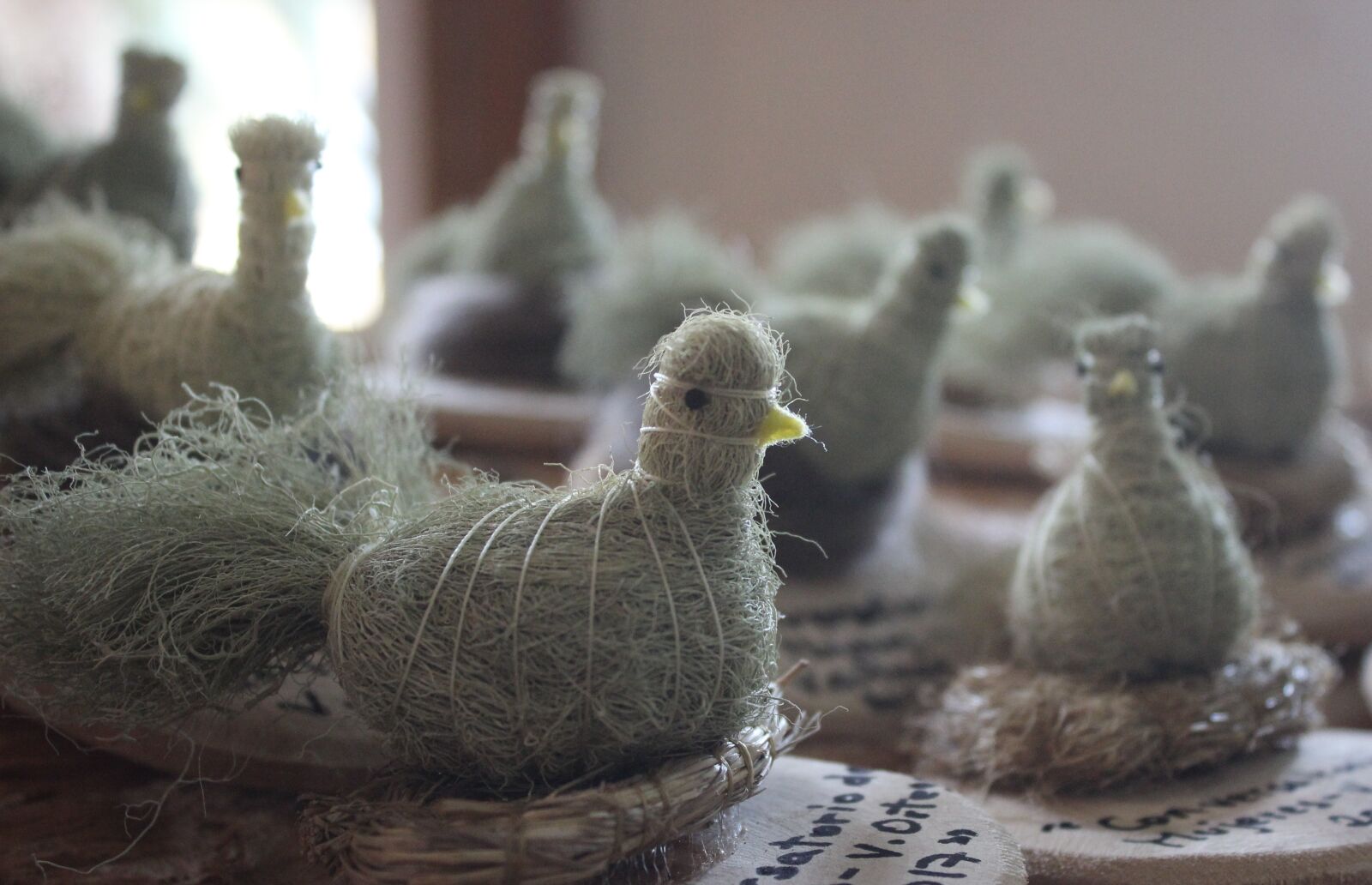 Canon EOS 600D (Rebel EOS T3i / EOS Kiss X5) sample photo. Crafts, nwfp, chicks photography