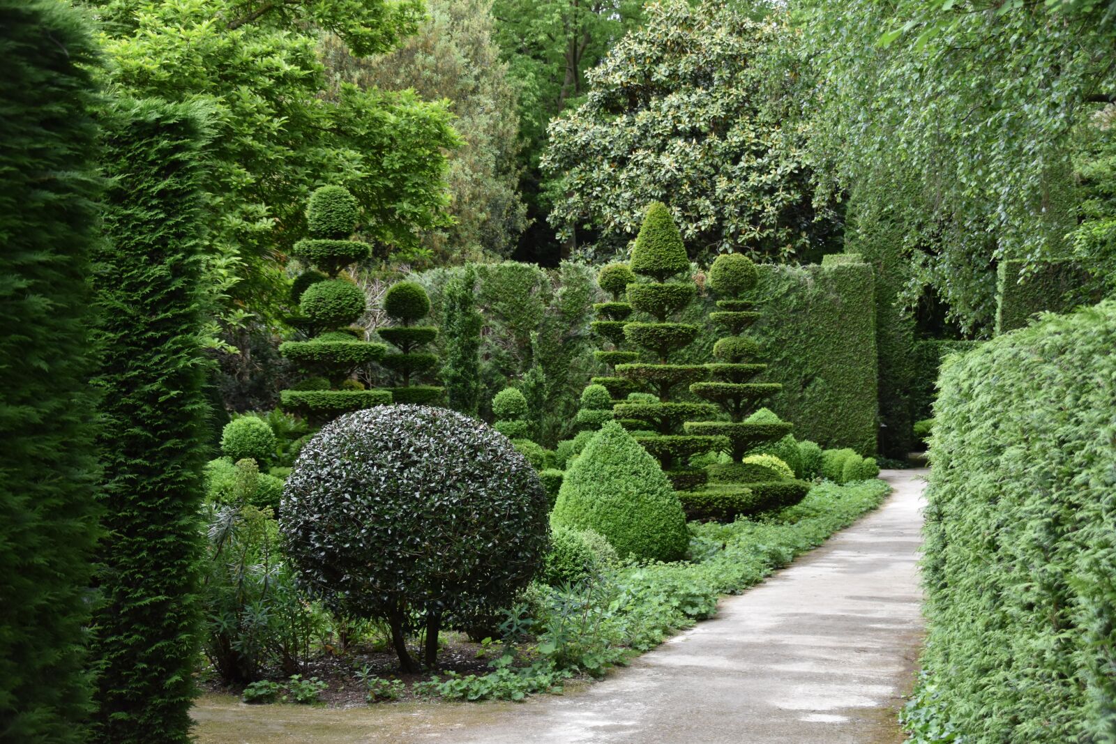 Nikon D5600 sample photo. Garden, park, shrubs pruned photography