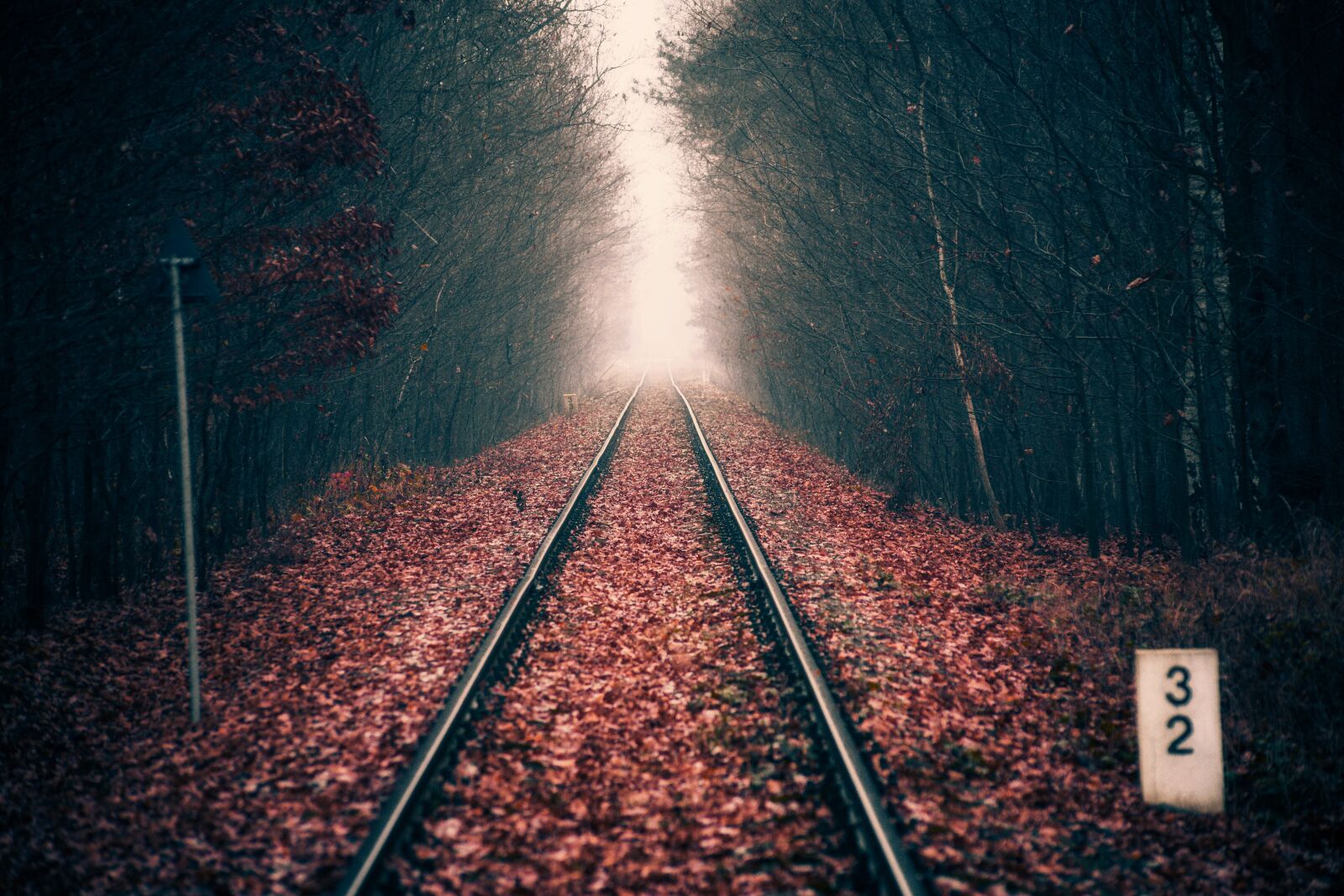 Canon EOS 6D sample photo. Forest, tracks, railway photography