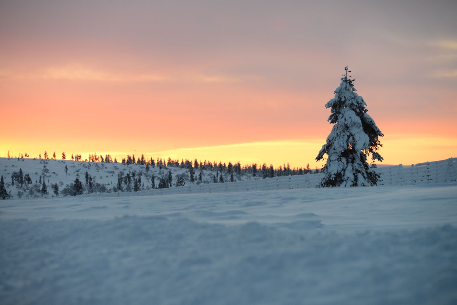 Nikon D800E sample photo. Winter, snow, landscape photography