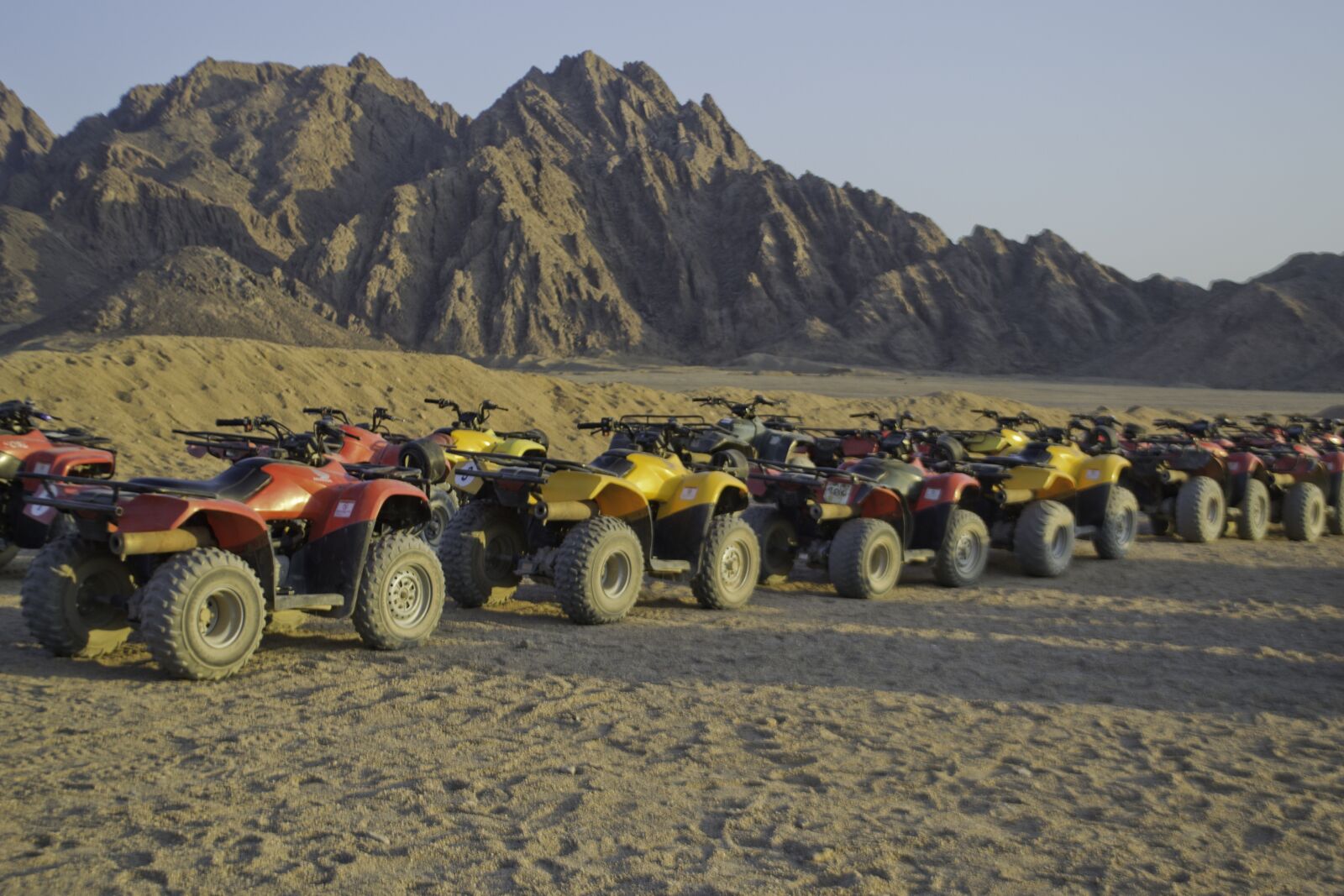 Nikon D3100 sample photo. Quad, desert, dawn photography