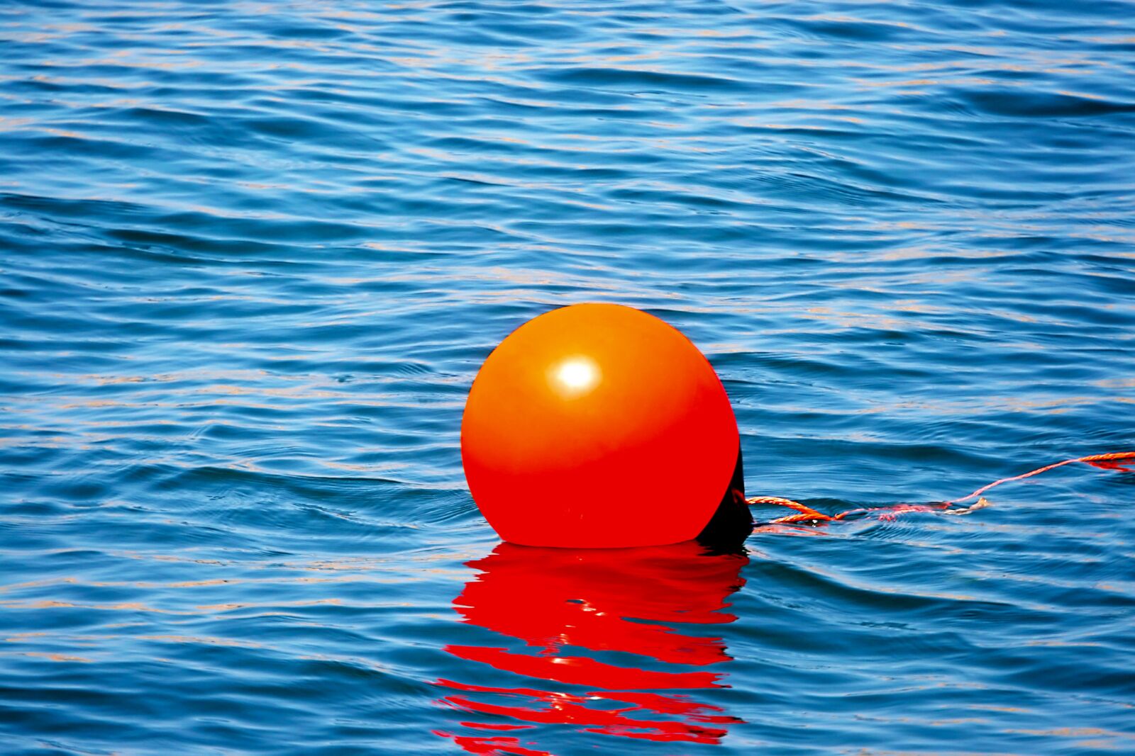 Canon EOS 30D sample photo. Anchor buoy, boje, water photography