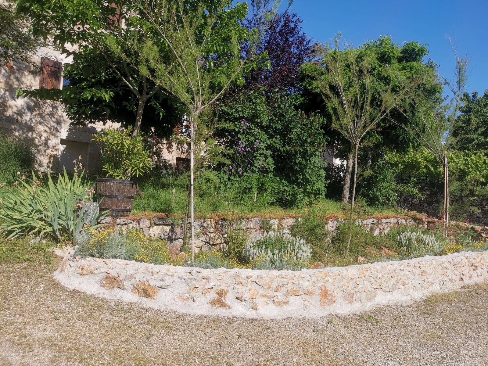 HUAWEI LYA-L29 sample photo. Garden, muret, stones photography
