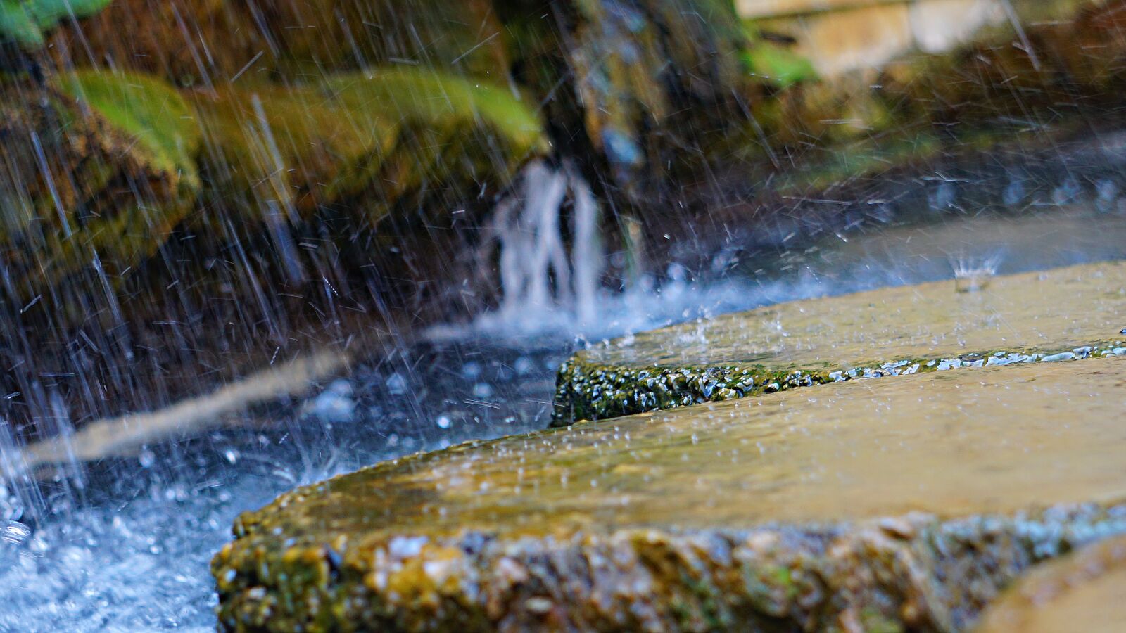 Sony E 55-210mm F4.5-6.3 OSS sample photo. Water gardens, saarland, garden photography