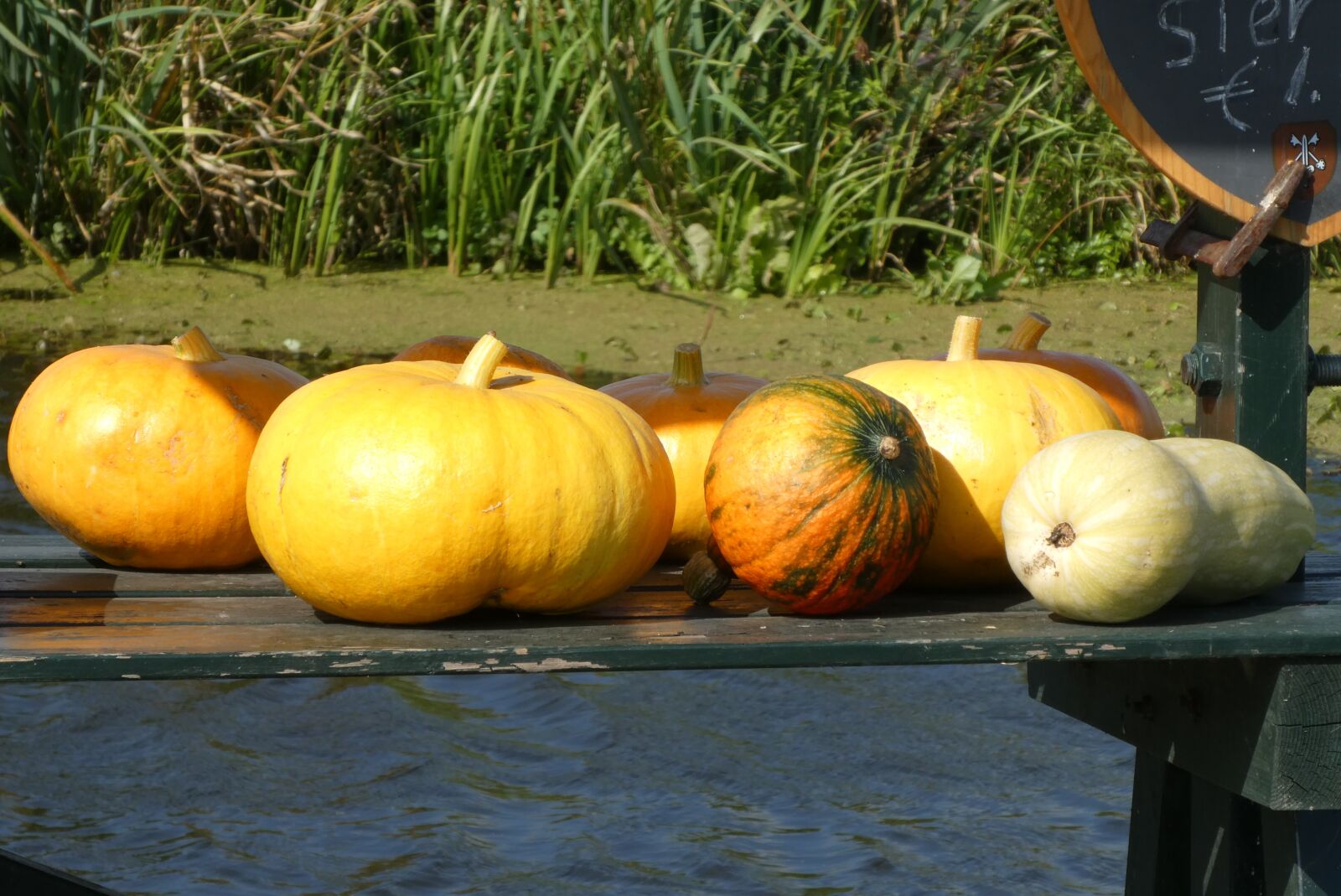 Panasonic Lumix DC-ZS70 (Lumix DC-TZ90) sample photo. Pumpkins, fruits, autumn photography