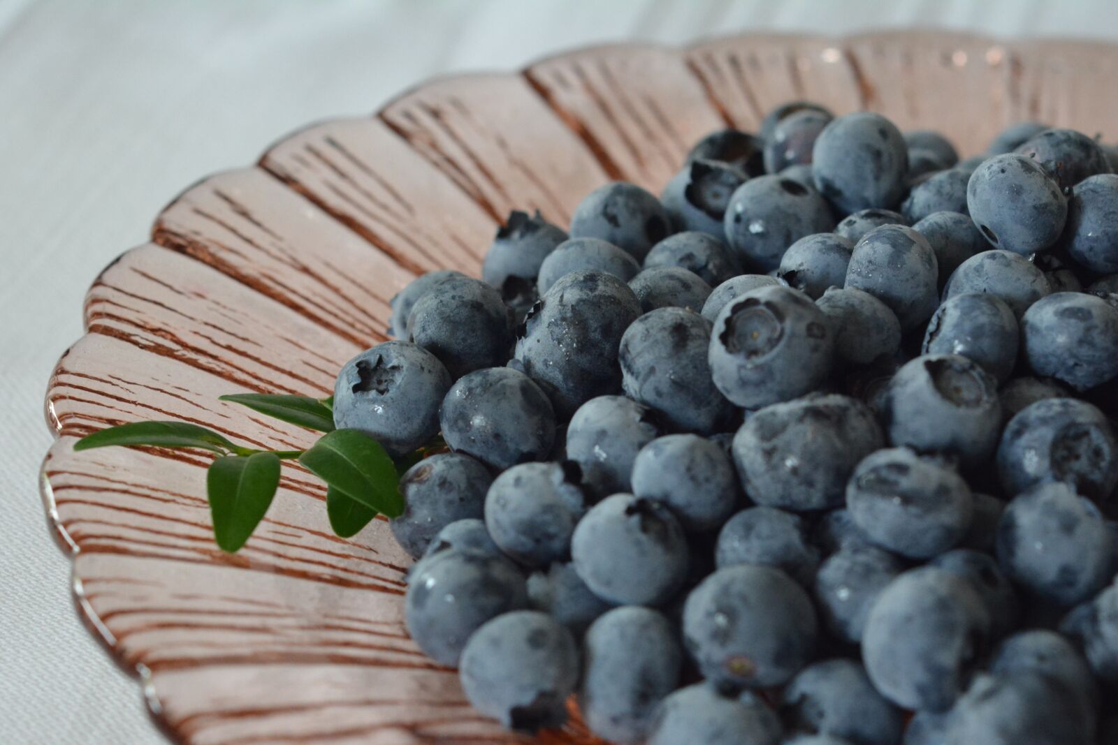 Nikon D5200 sample photo. Blueberries, bilberry, berries photography