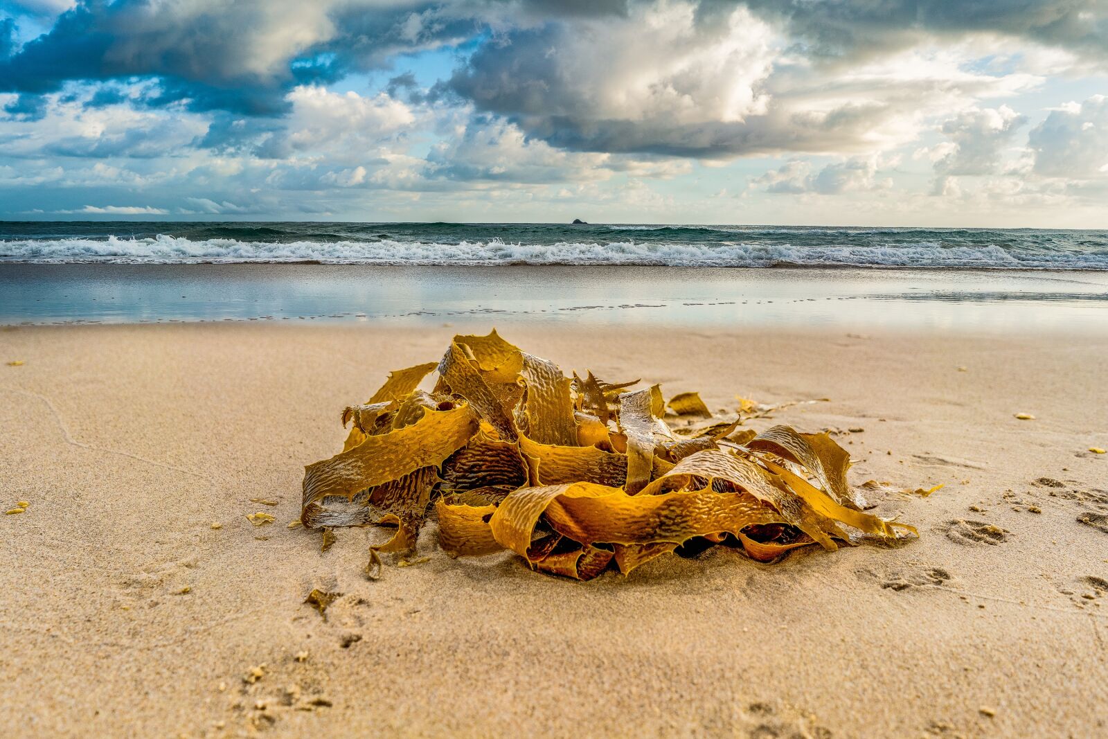 Sony FE 28mm F2 sample photo. Seashore, summer, ocean photography