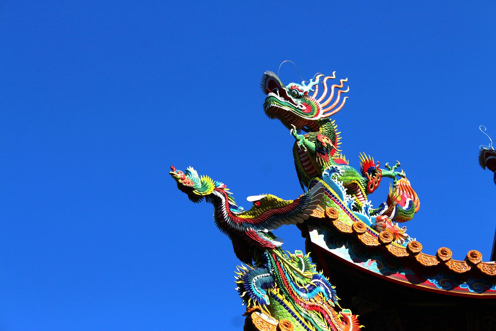Canon EOS 650D (EOS Rebel T4i / EOS Kiss X6i) sample photo. Sky, dragon, traditional photography