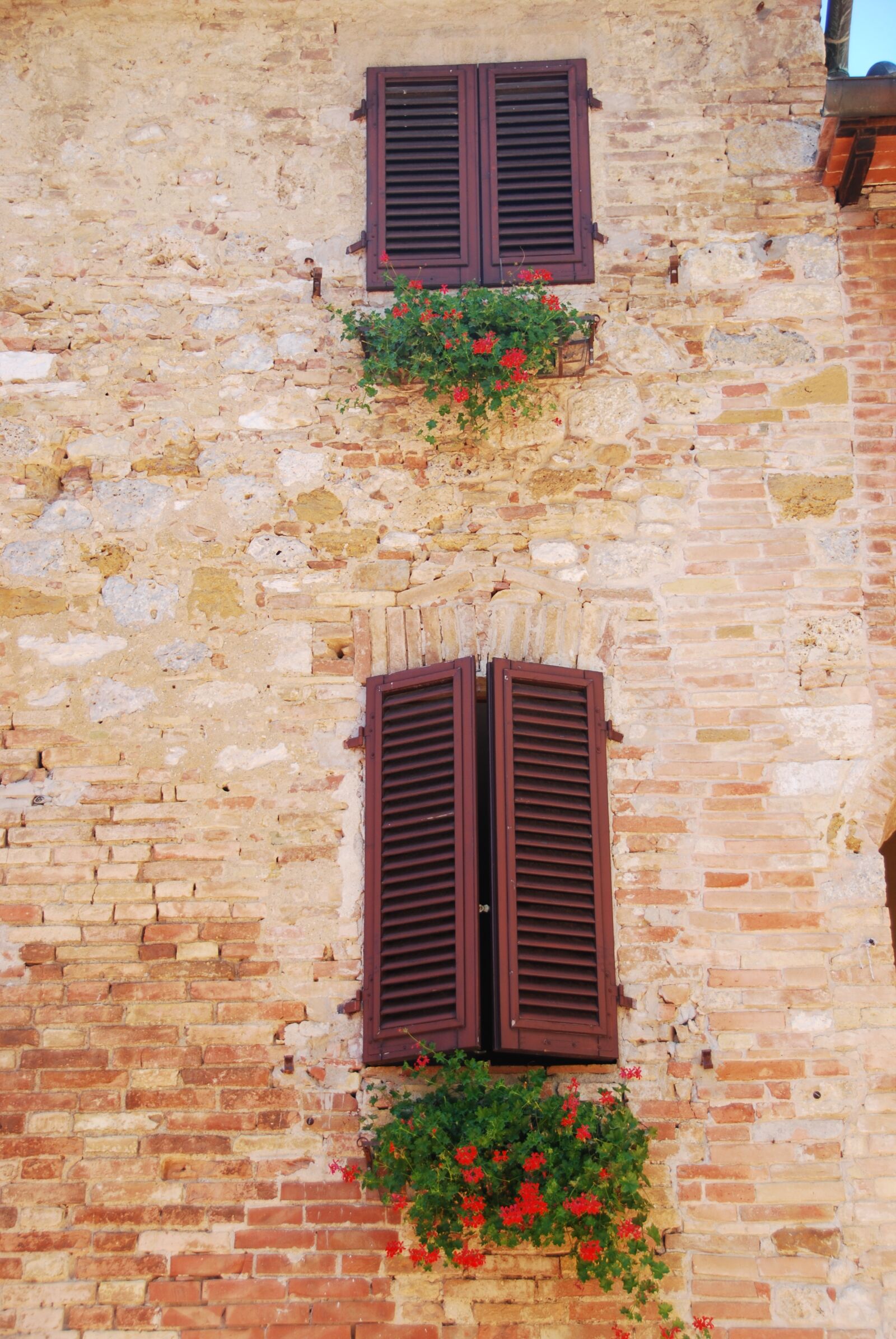 Nikon D80 sample photo. Windows, flowers, bricks photography