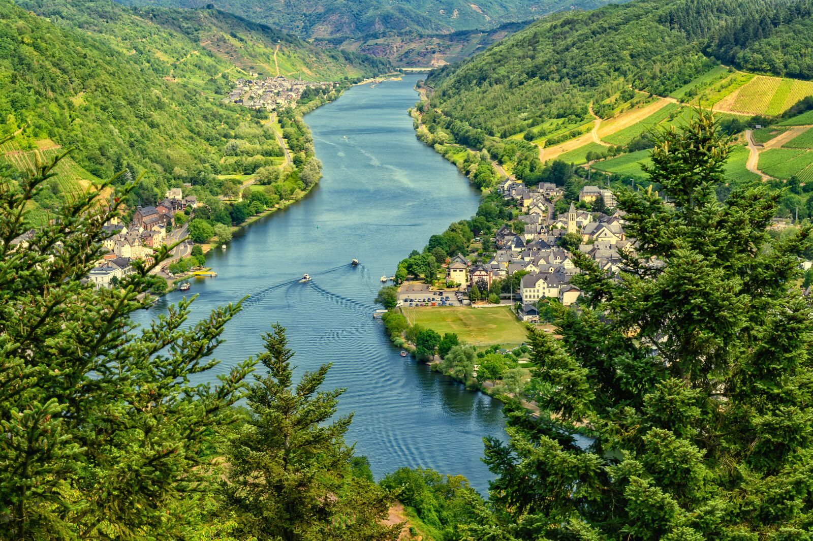 Nikon Z6 sample photo. River, nature, mosel photography
