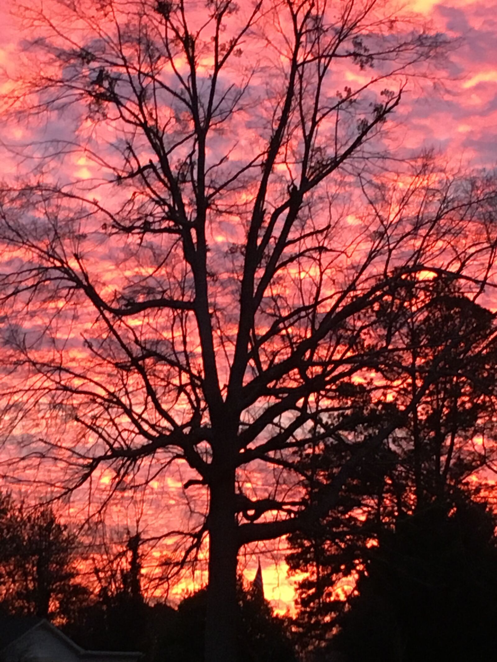 Apple iPhone 6s sample photo. Fire, in, the photography