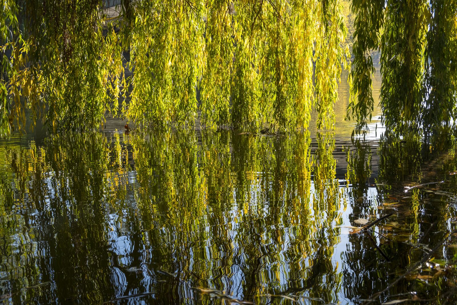 Fujifilm XF 18-55mm F2.8-4 R LM OIS sample photo. River, water, neckar photography