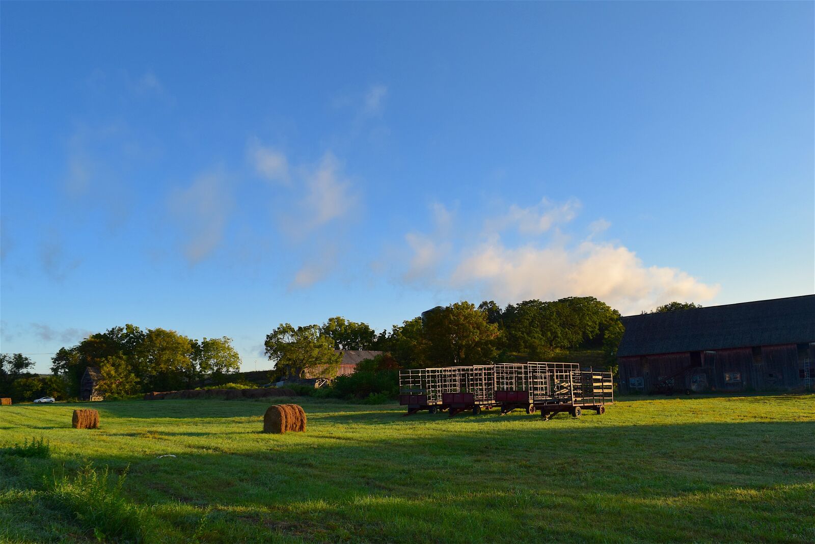 Nikon D3300 sample photo. Farmland, sunrise, grass photography
