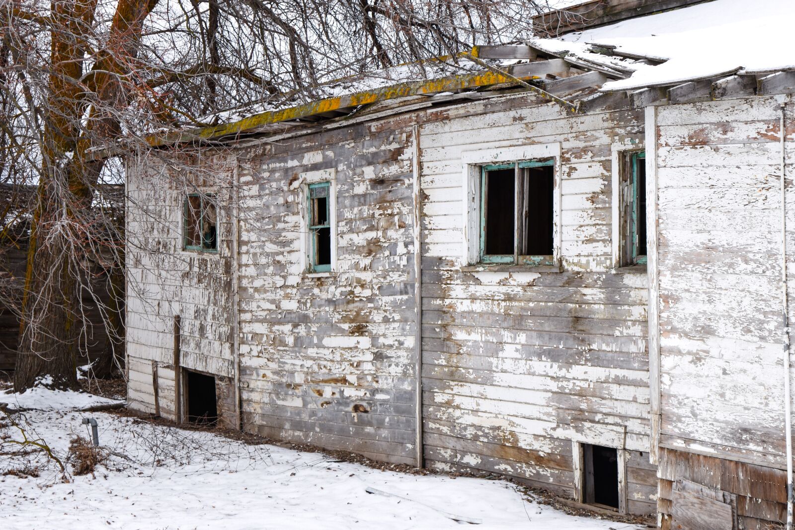 Nikon D7200 sample photo. Abandoned, house, old photography