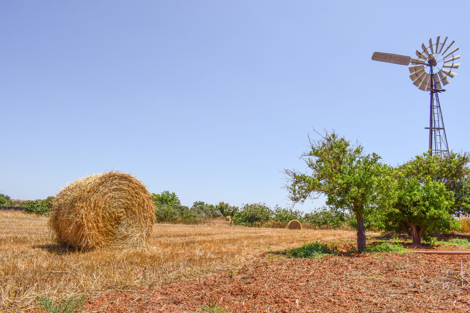 Nikon D3300 sample photo. Farm, trees, countryside photography