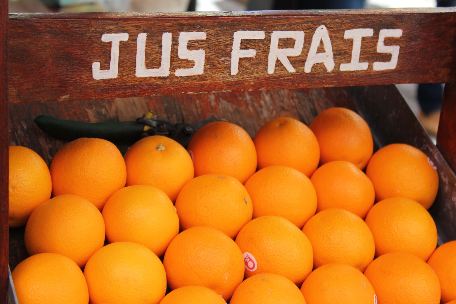 Canon EOS 550D (EOS Rebel T2i / EOS Kiss X4) sample photo. Fresh juice, orange, fruit photography