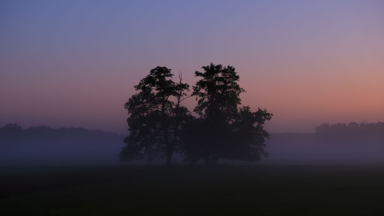 Fujifilm X-T20 sample photo. Sunrise, morning, fog photography