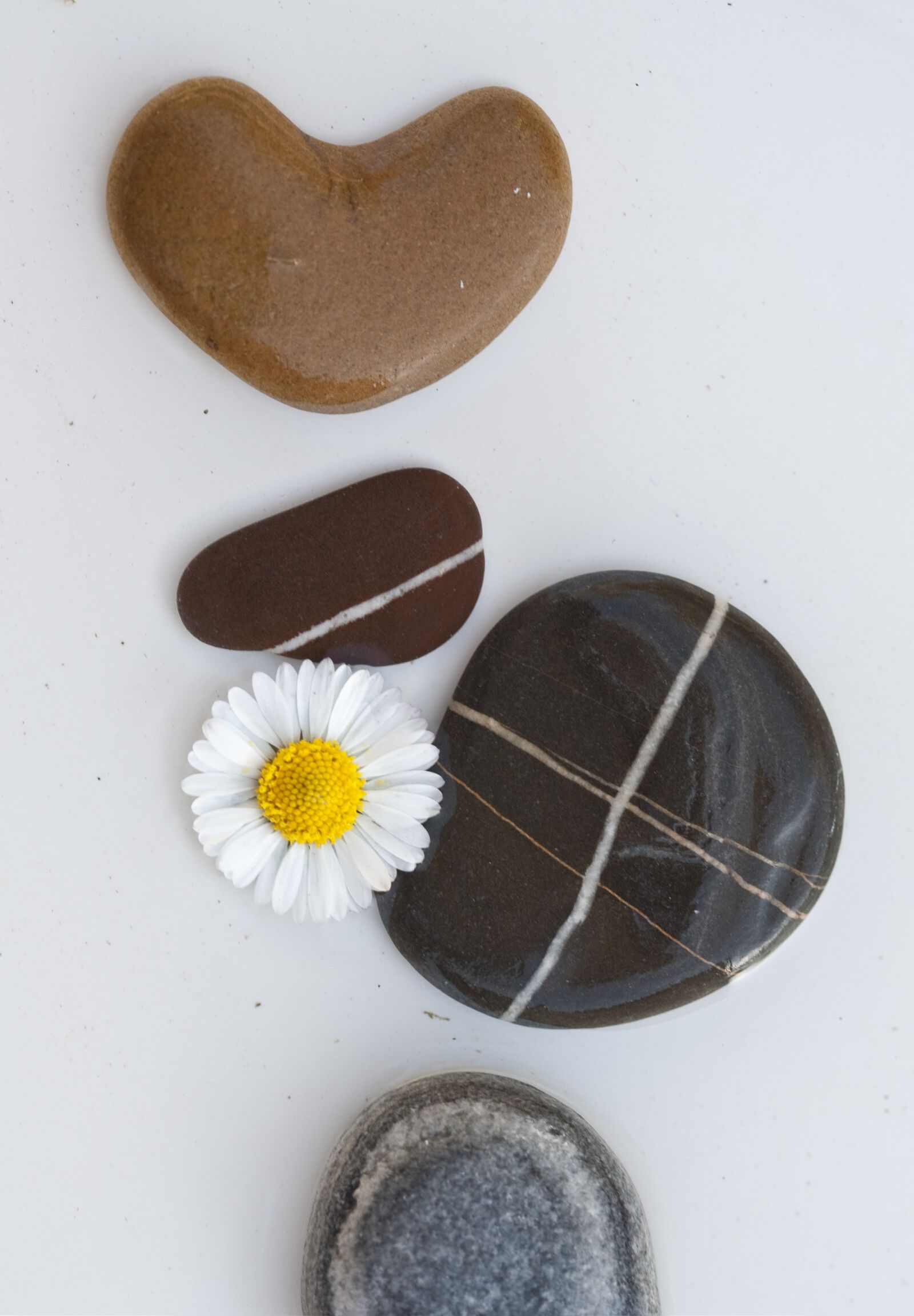 Canon EOS 5D sample photo. Stones, pebbles, background photography