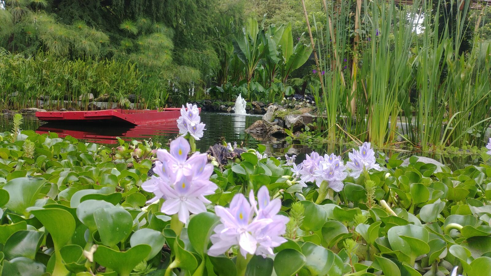 LG G6 sample photo. Park, source, garden photography