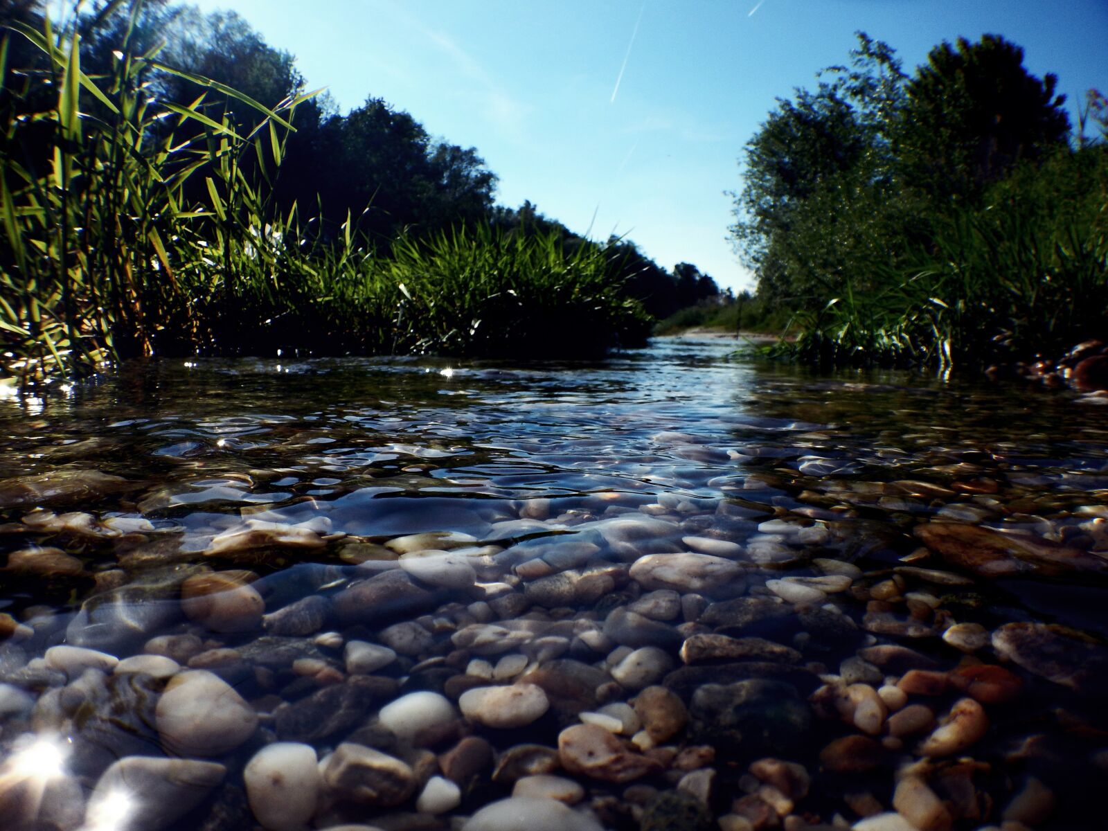 Nikon Coolpix AW130 sample photo. River, secondary arm, nature photography