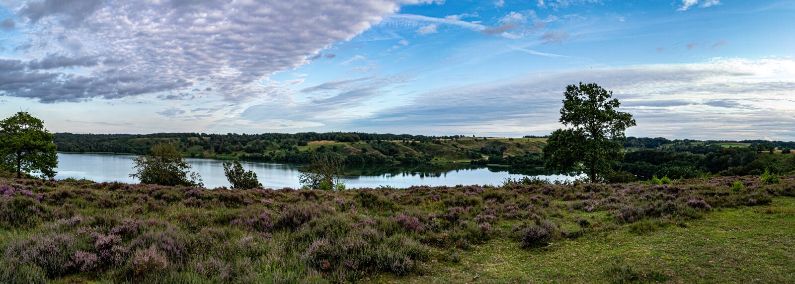 Canon EOS 750D (EOS Rebel T6i / EOS Kiss X8i) + Canon TS-E 90mm F2.8 Tilt-Shift sample photo. Heather, lake, hald lake photography