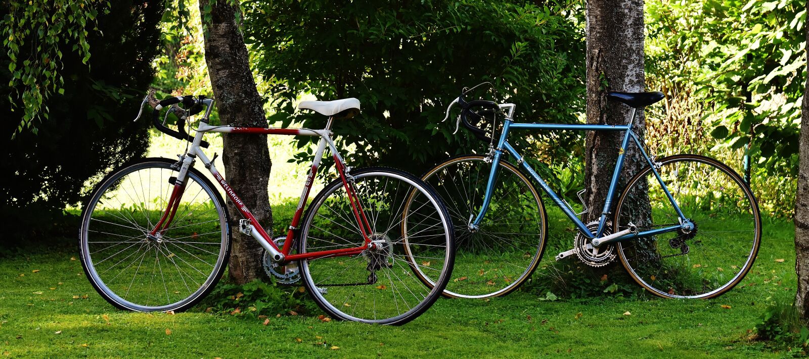 Nikon D7200 sample photo. Bicycles, cycle, bike photography
