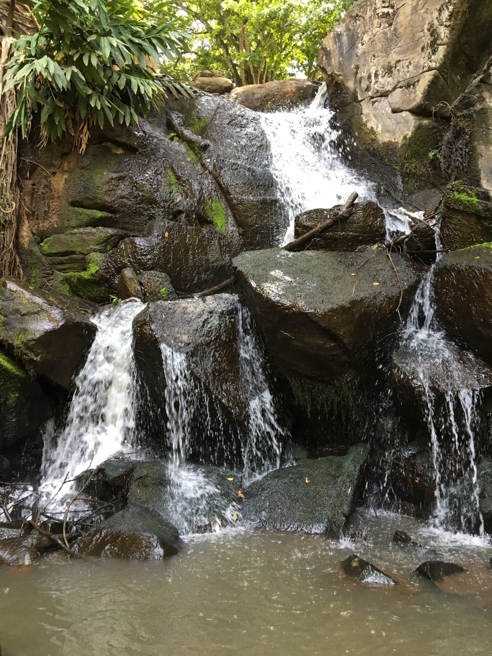 iPhone 6s back camera 4.15mm f/2.2 sample photo. Rocks, nature, river photography