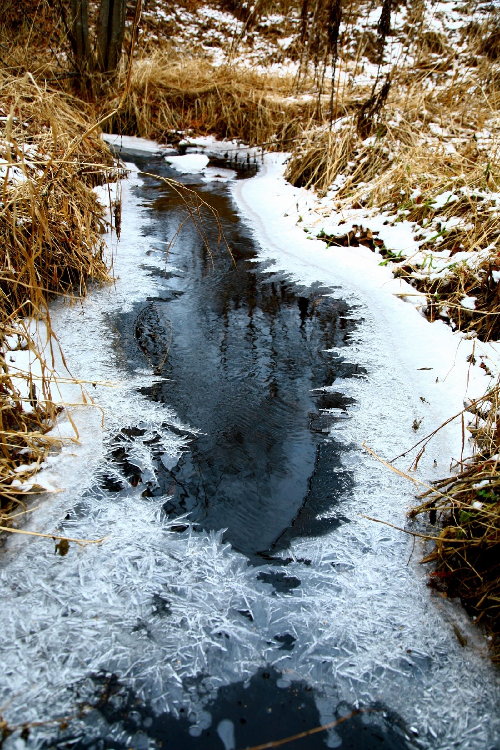 Canon EOS 5D sample photo. River, back on track photography
