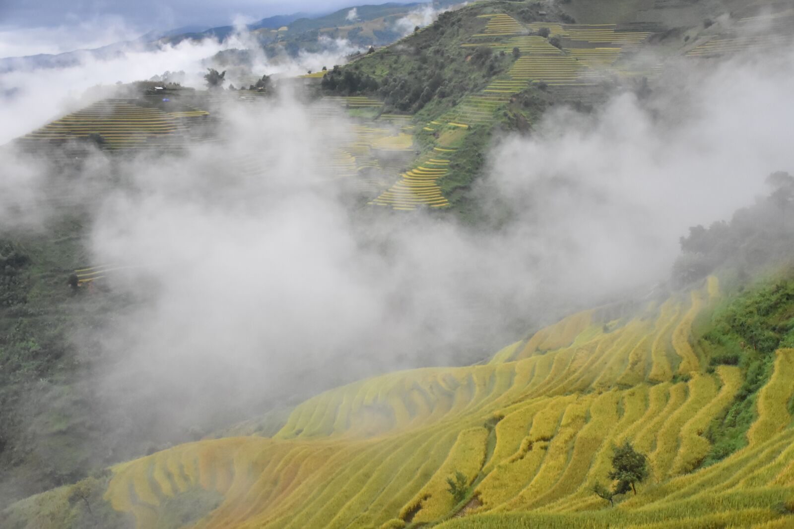 Nikon D7200 sample photo. Mountains, field, valley photography