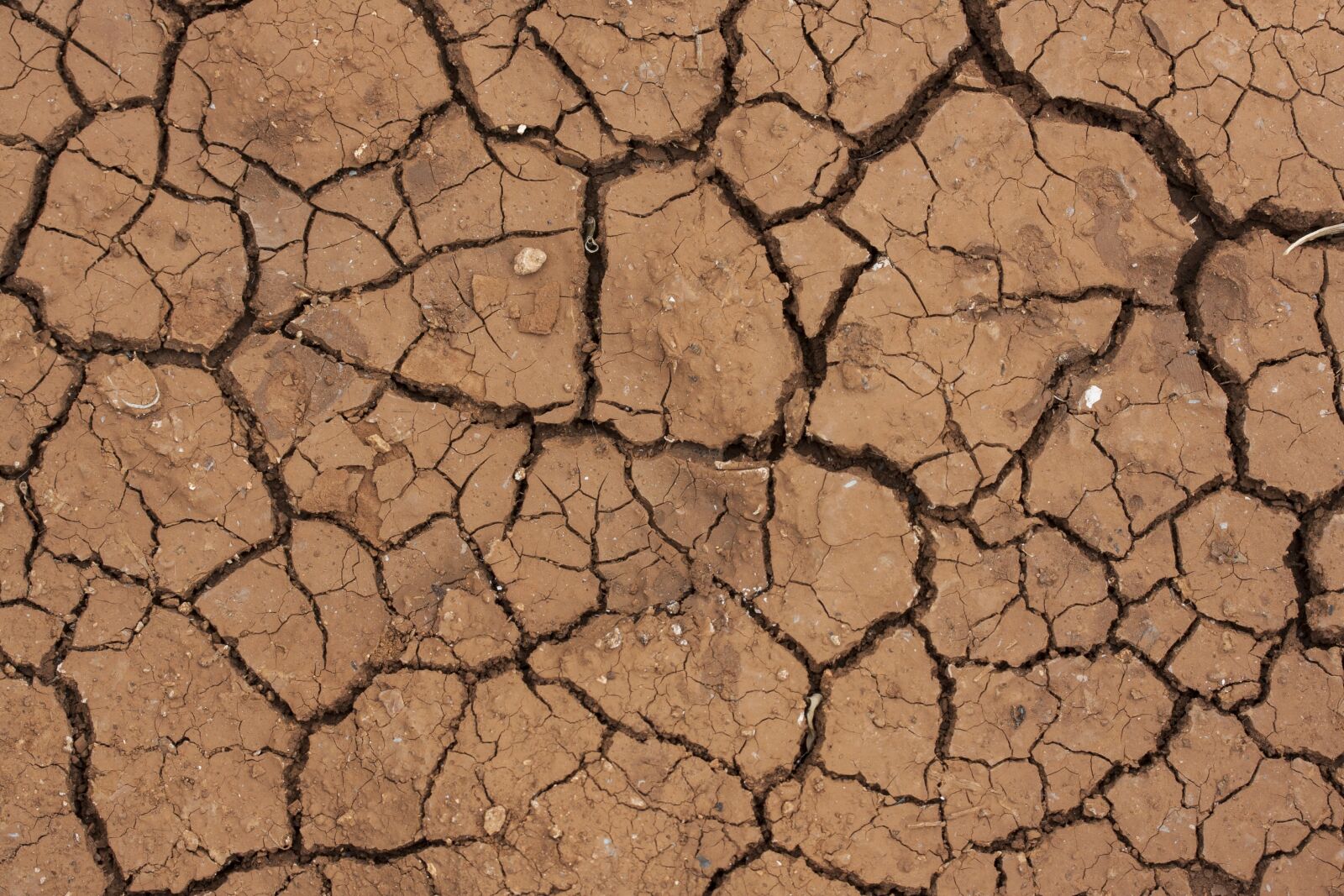 Canon EOS 40D sample photo. Desert, dirt, dry photography