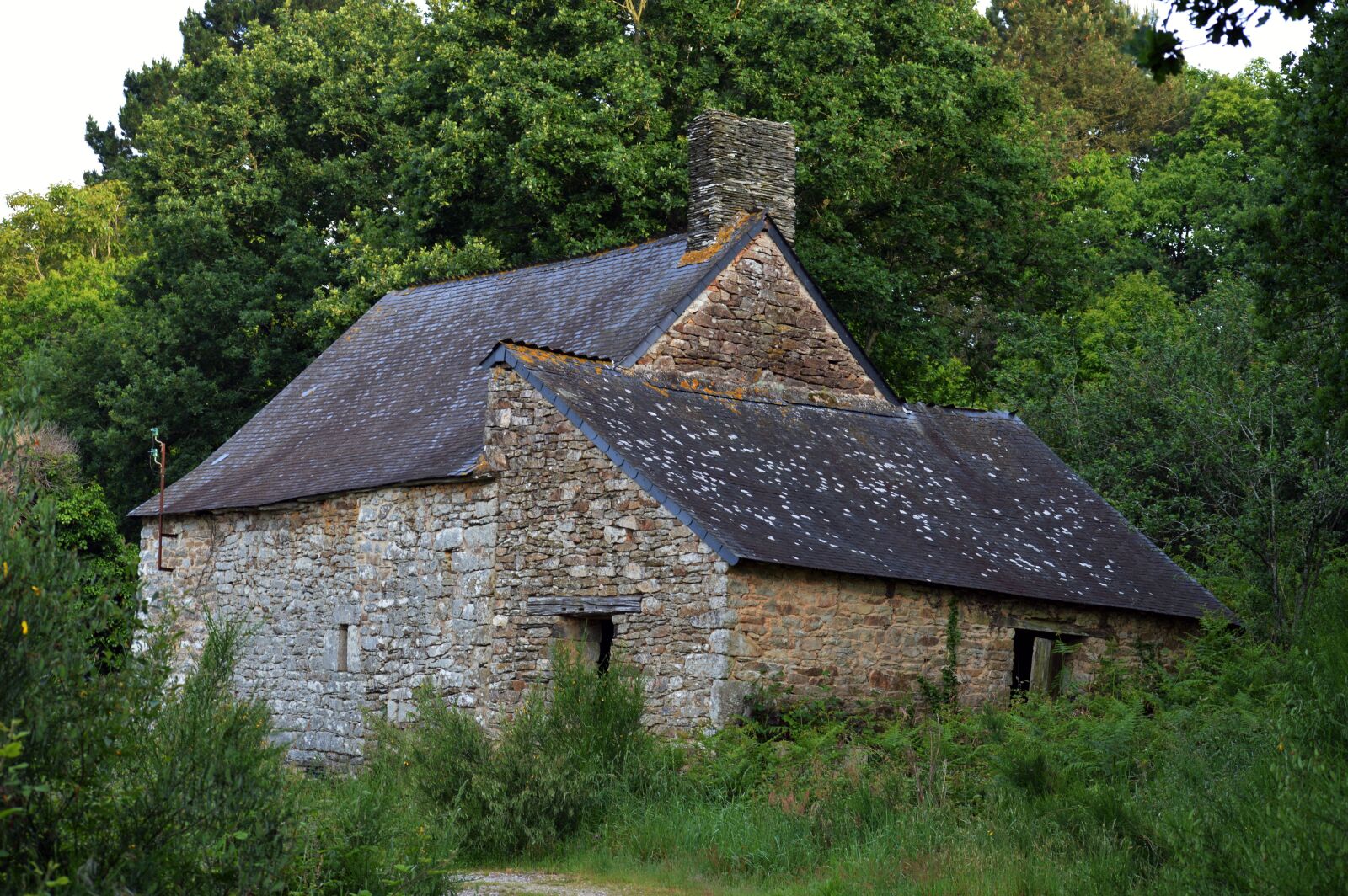 Nikon D3200 sample photo. House, farm, old photography