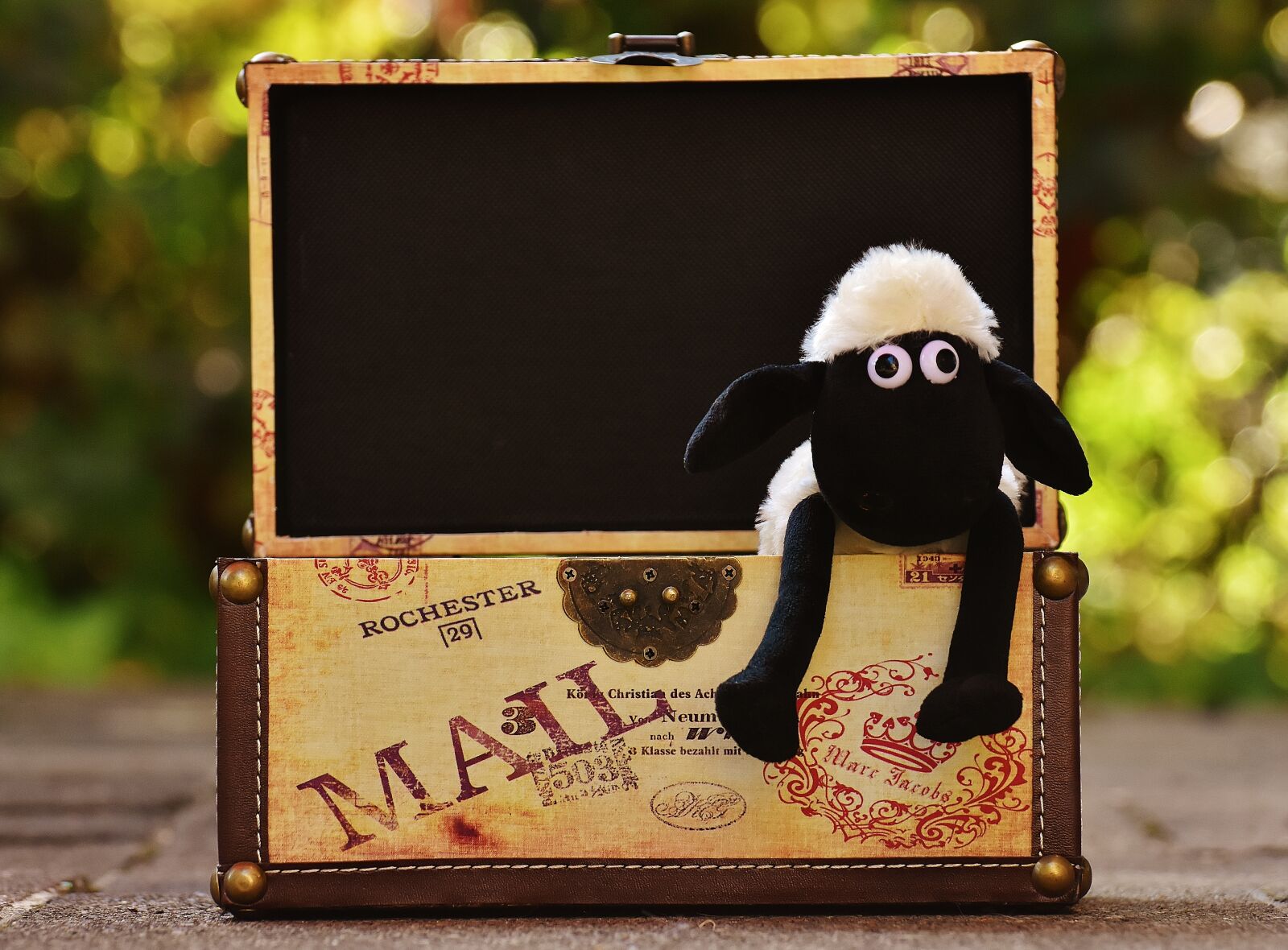 Nikon D7200 sample photo. Sheep, chest, box photography